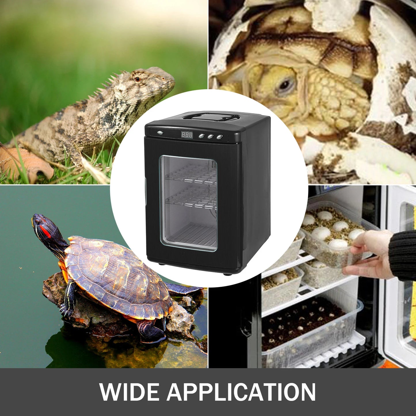 VEVOR 25L Reptile Incubator Digital Egg Incubator Scientific Lab Incubator Cooling and Heating 5-60°C Work for Small Reptiles