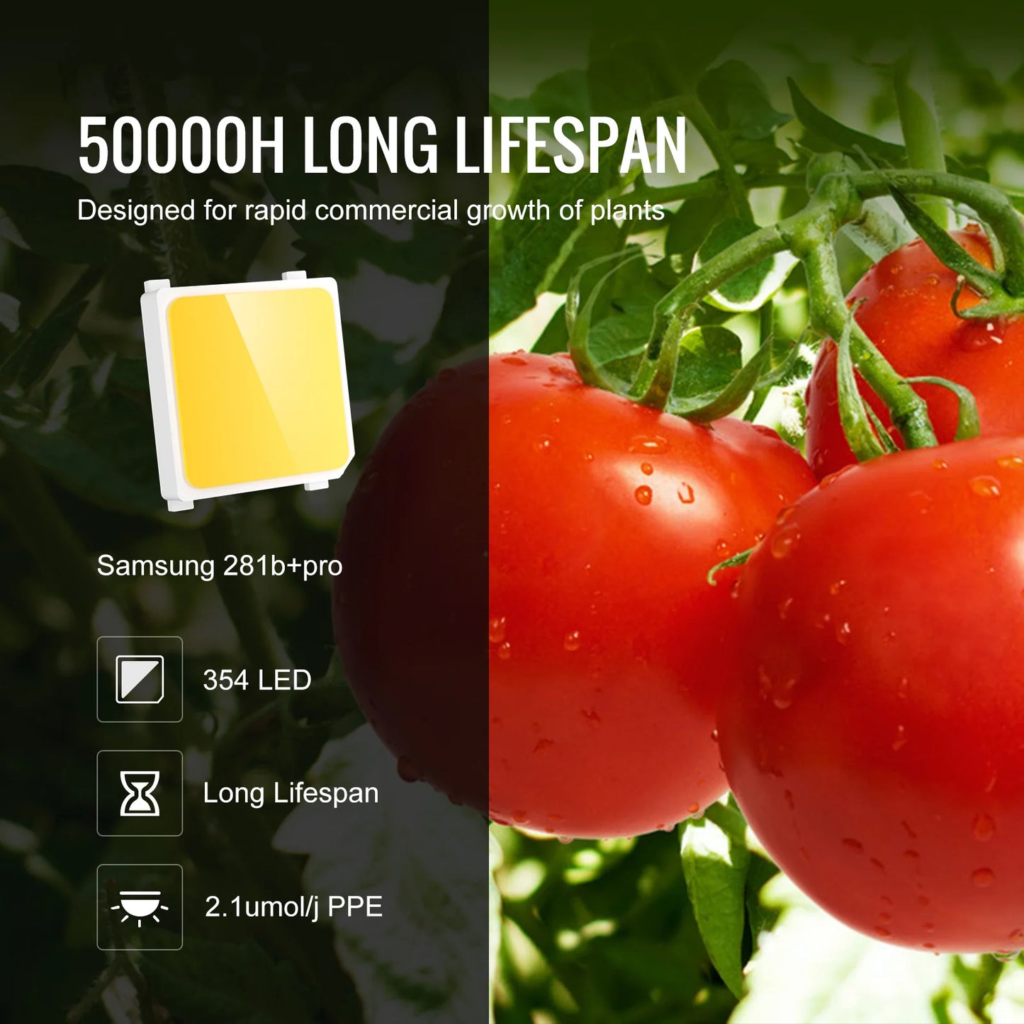 VEVOR Quantum Board LED Grow Light Samsung 281B Full Spectrum Phyto Lamp for Greenhouse Growing Indoor Plants Vegetables Growth